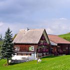 Appenzell pur