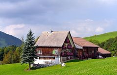 Appenzell pur