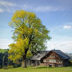 Appenzeller Bauernhaus im Herbst