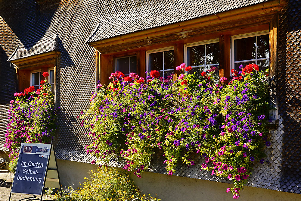 Appenzeller Berggasthof