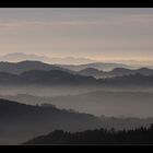 Appenzeller Hügel im Nebel ...