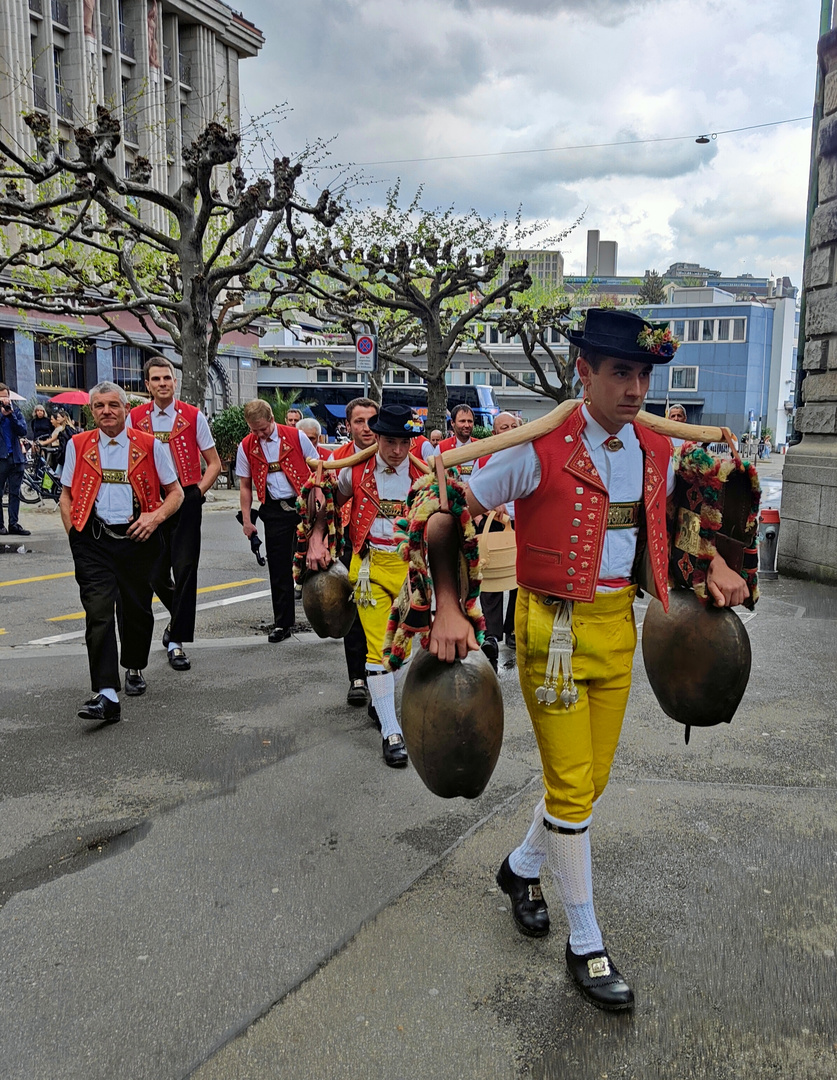 Appenzeller in Tsüri 