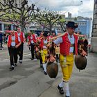 Appenzeller in Tsüri 