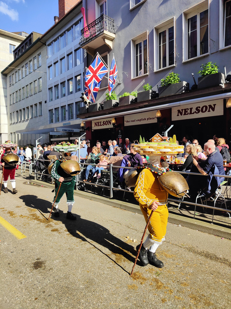 Appenzeller in Tsüri II