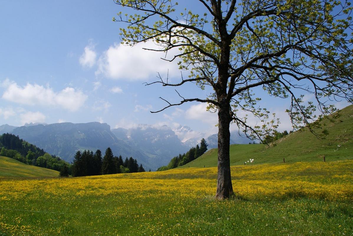 Appenzeller Land