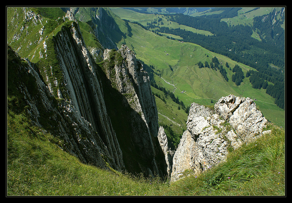 Appenzeller Tiefenwirkung