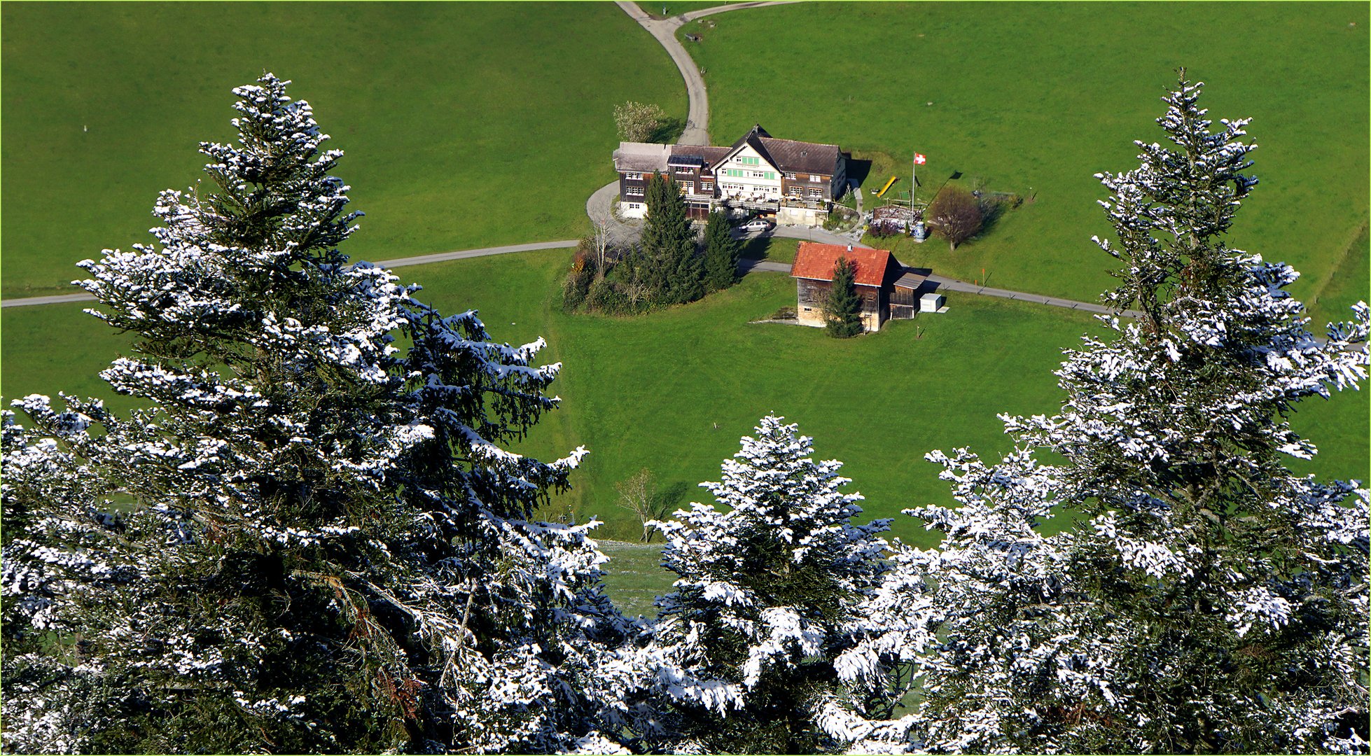 Appenzeller Vorwinterchen