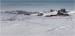 Appenzeller Winter 1