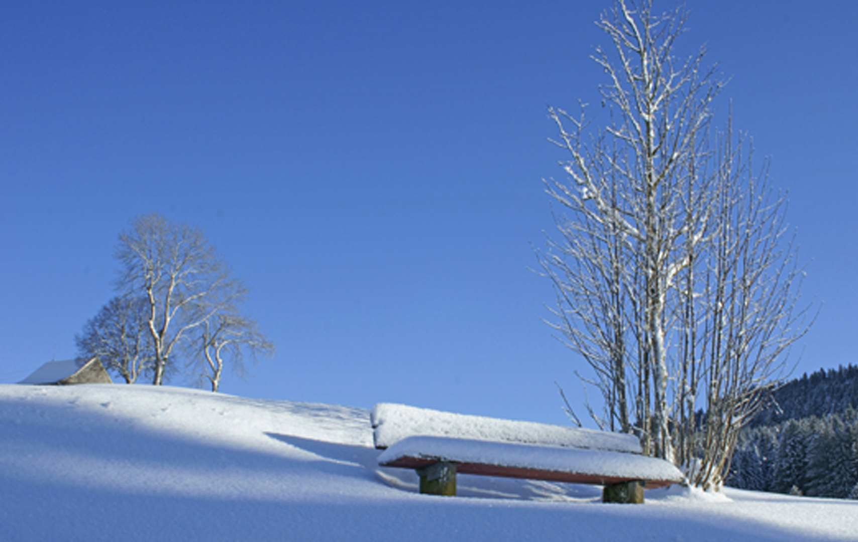 Appenzeller Winterlandschaft