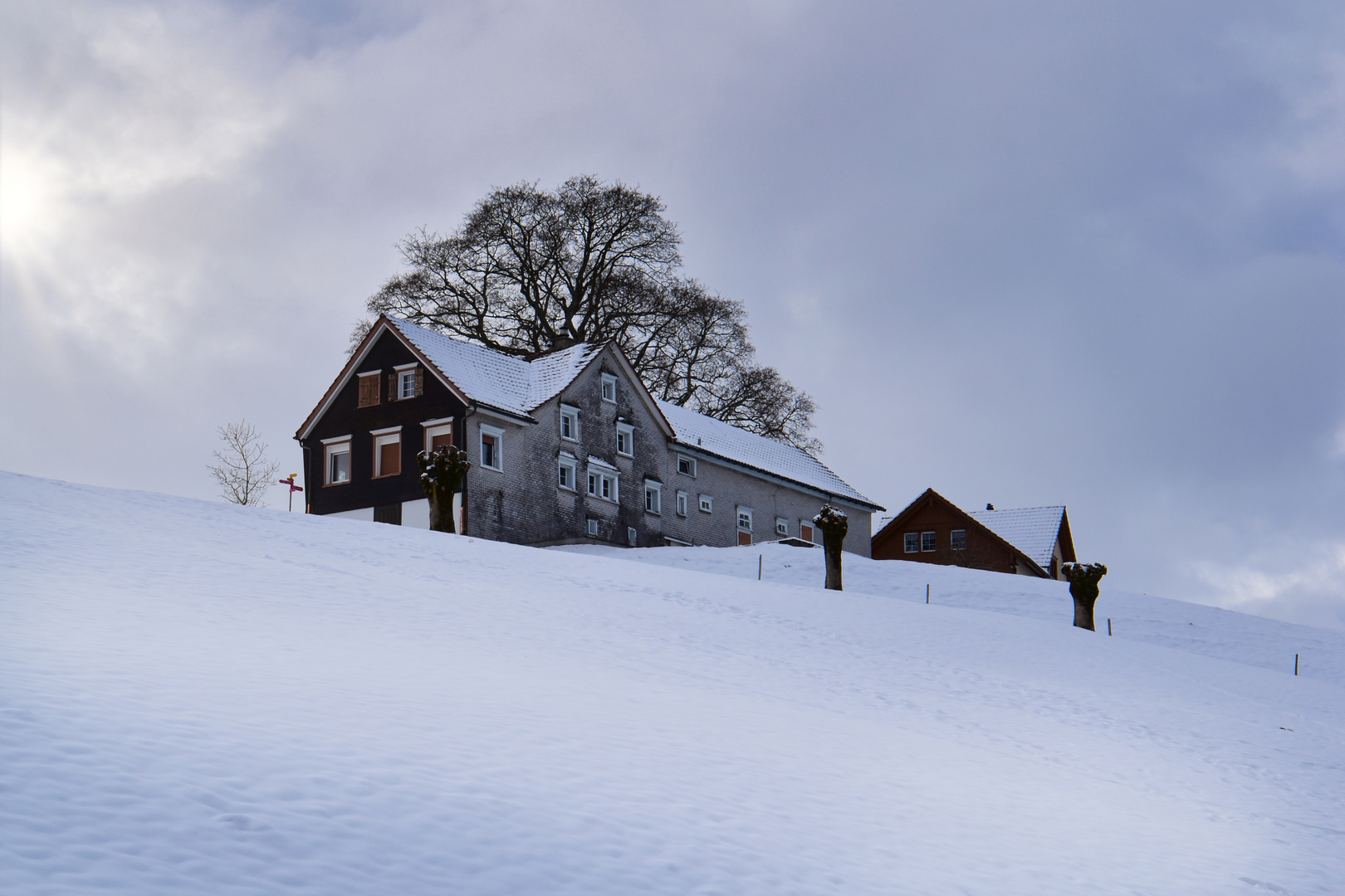 Appenzellerhaus am Berg