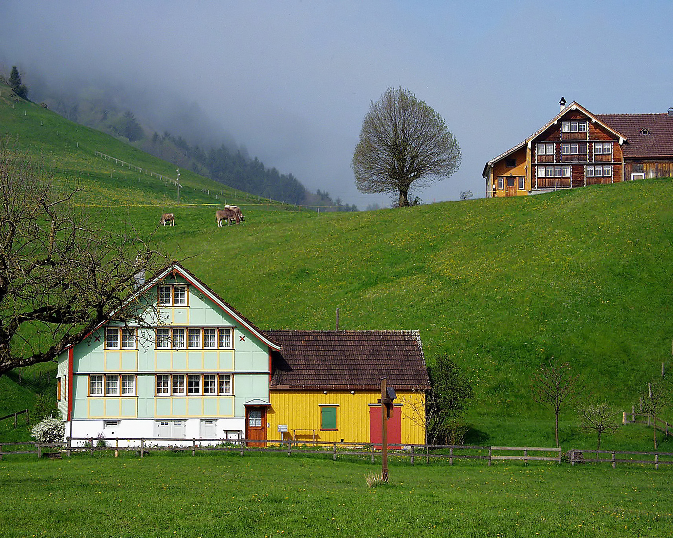 Appenzellerland