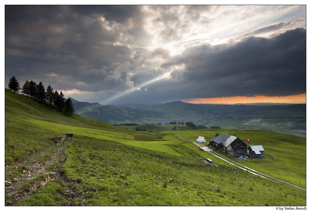 Appenzellerland