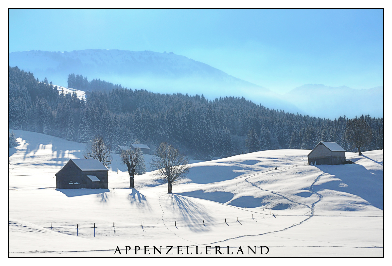 Appenzellerland