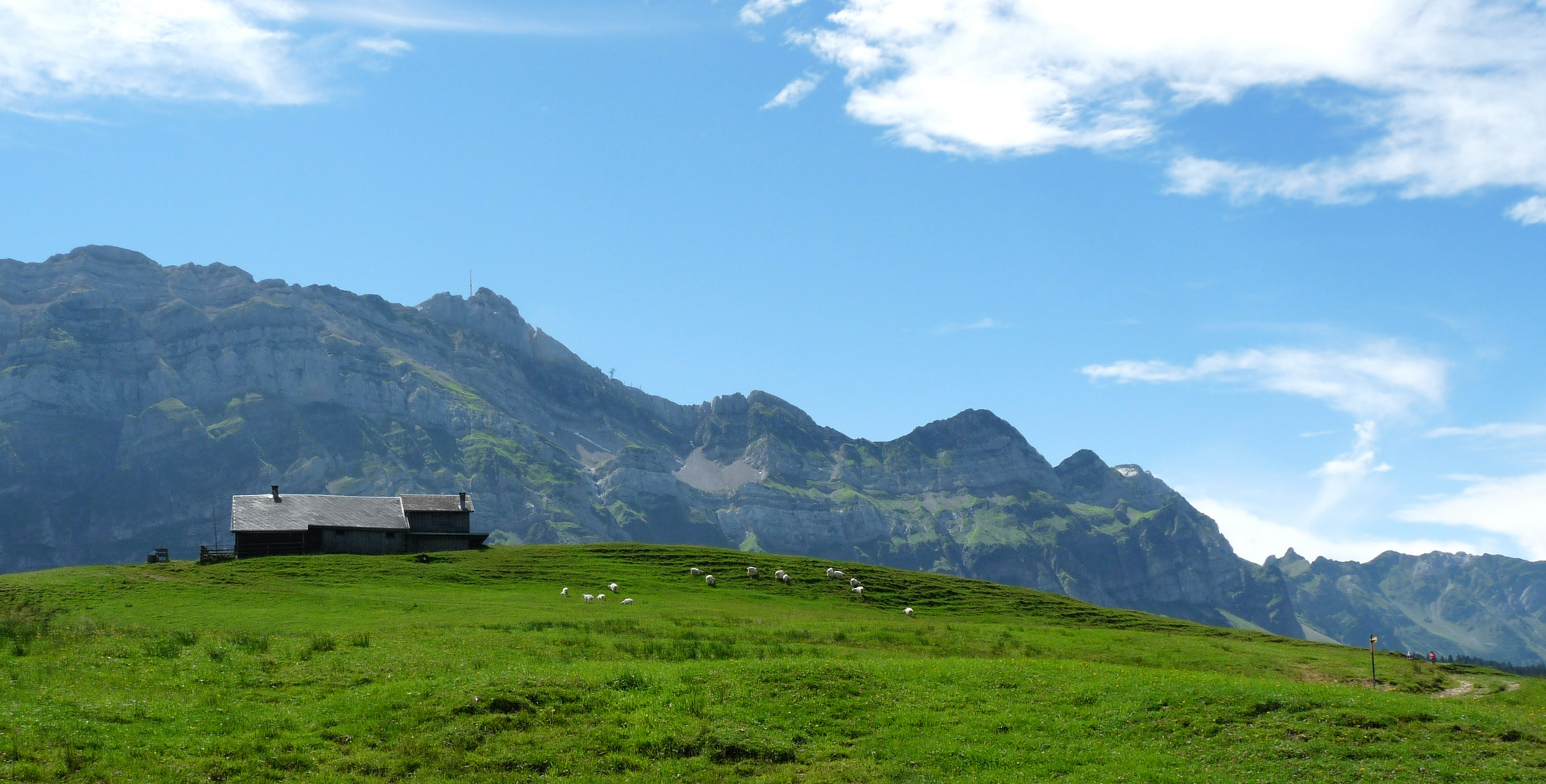 Appenzellerland-Suisse