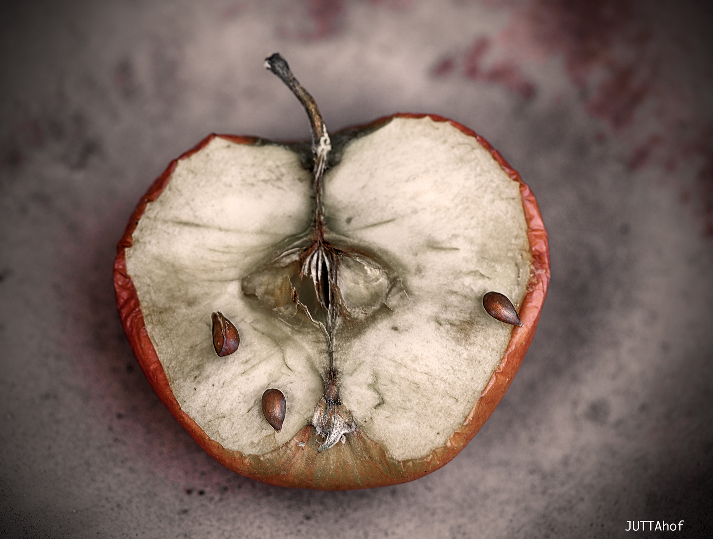  Apple-Beauty in Decay