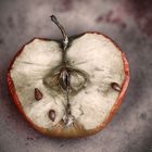  Apple-Beauty in Decay