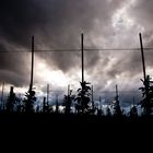 Apple farm in approaching thunderstorm