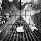 Apple in Big Apple