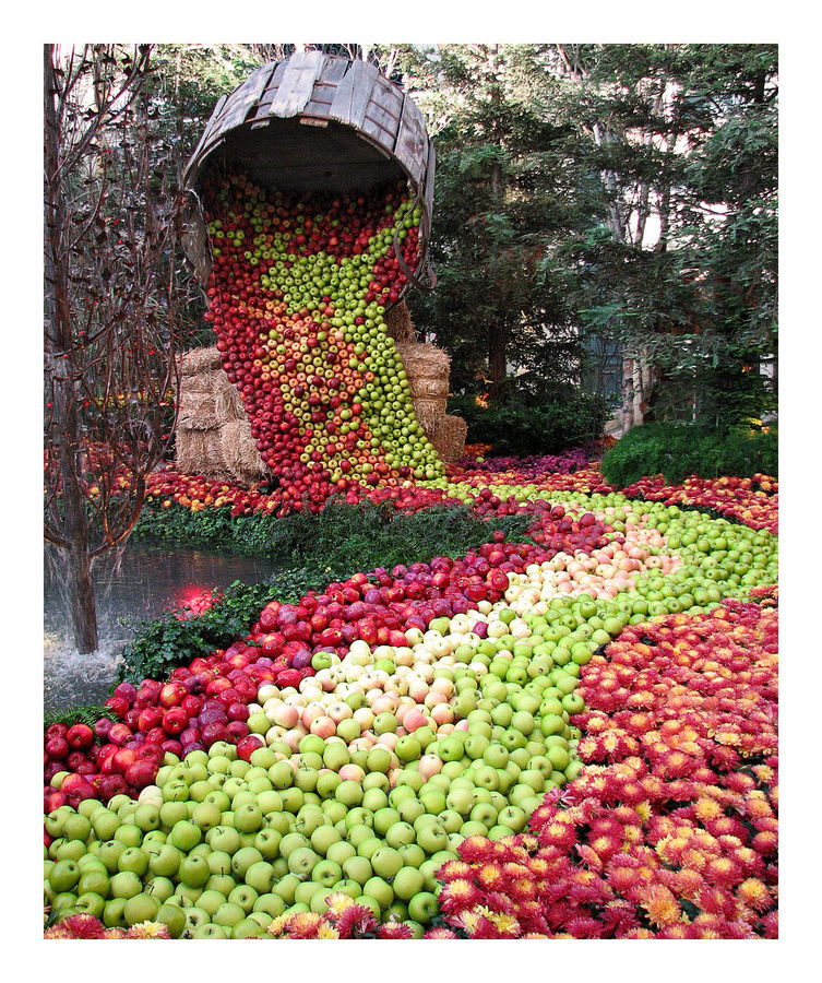 Apple Path