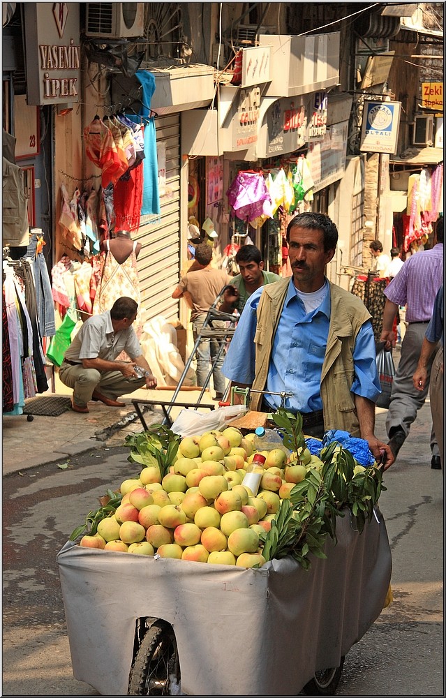 Apple Salesmen