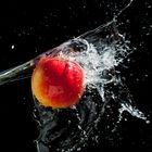 Apple-Splash