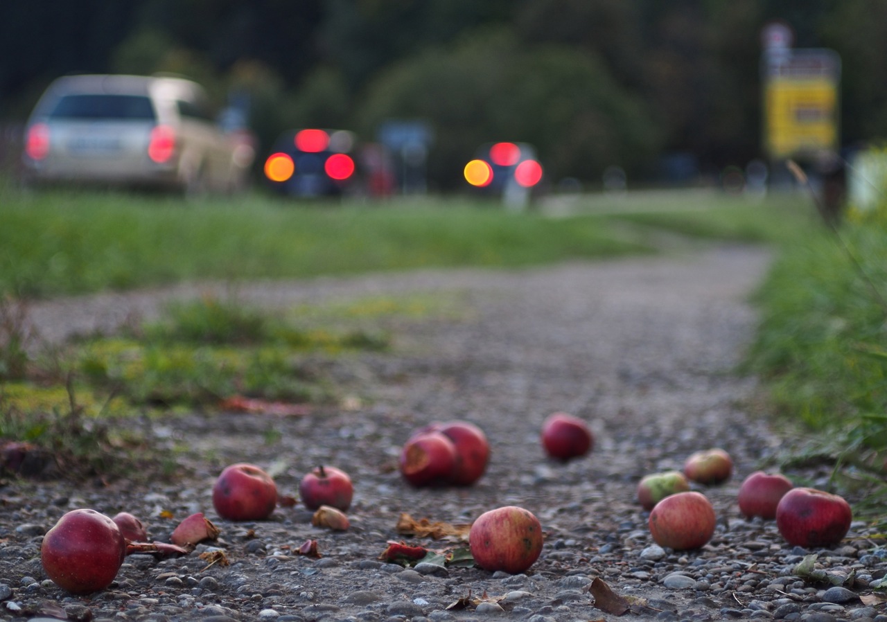 Apples and cars