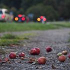 Apples and cars