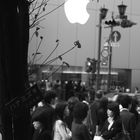 "appletree" - tokyo