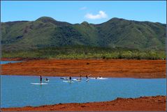 Apprentissage de paddleboard au parc de la Rivière Bleue