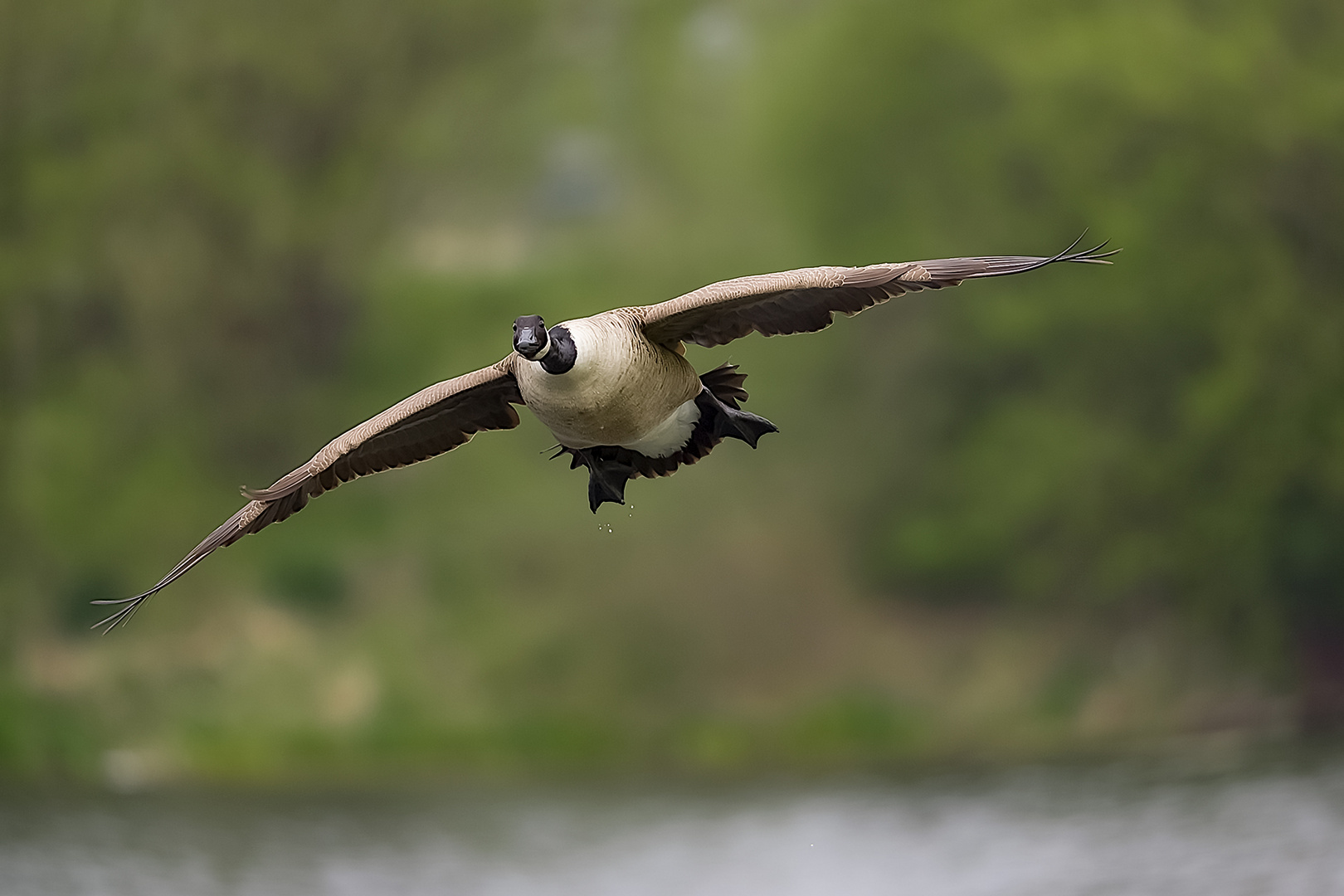 Approach for a landing....