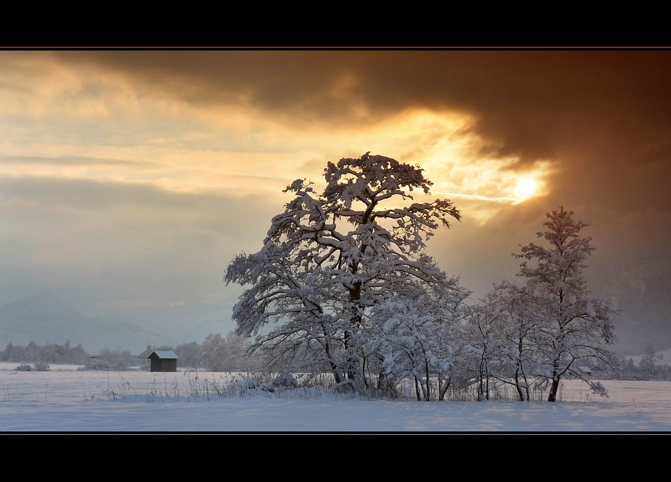 - approach of winter -