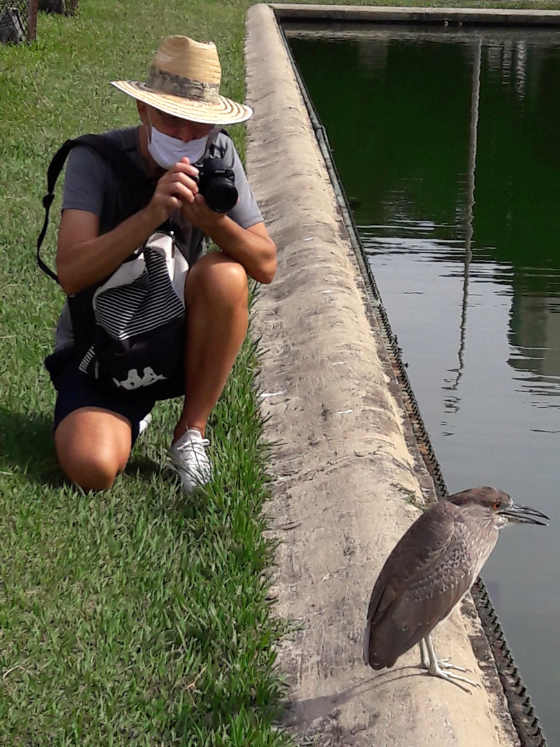 approaching-a-photogenic-bird