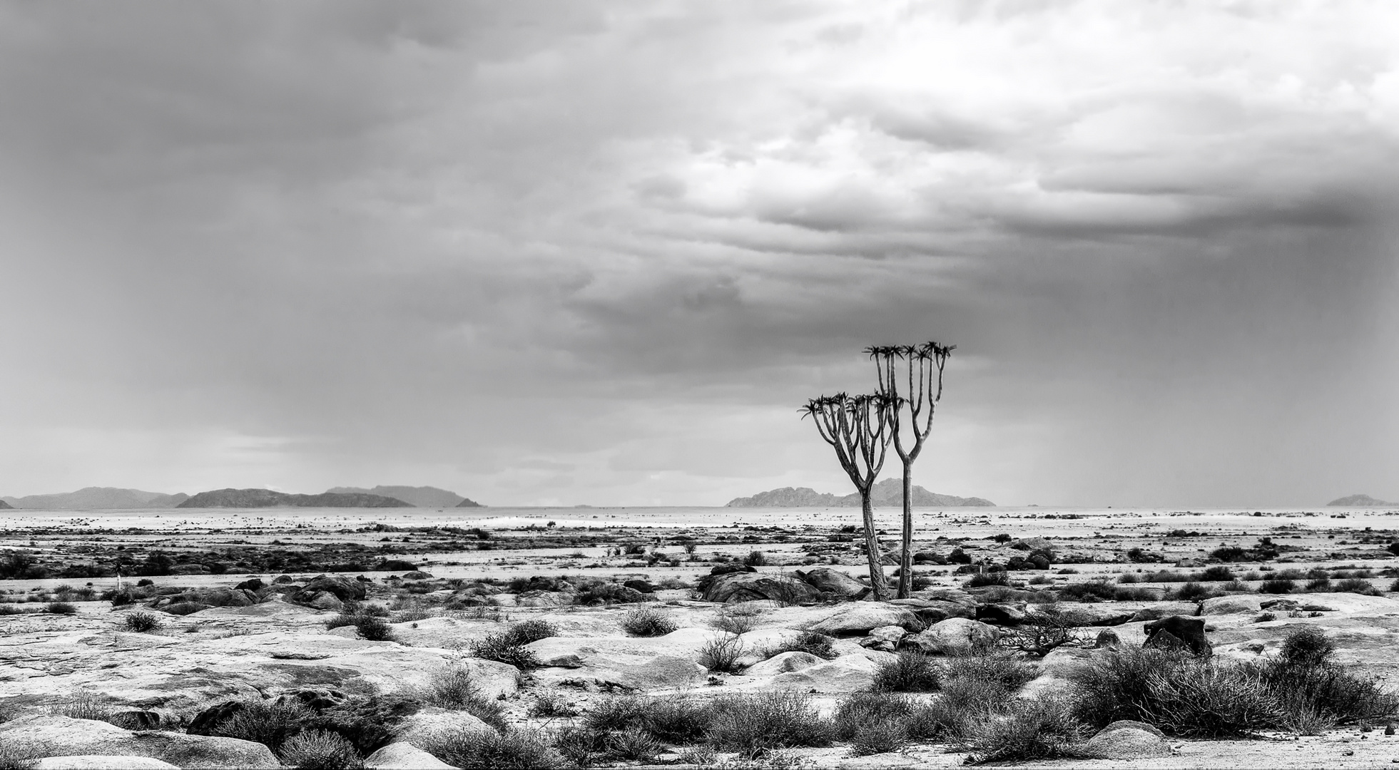 Approaching Rains (Namibia) 