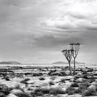 Approaching Rains (Namibia) 