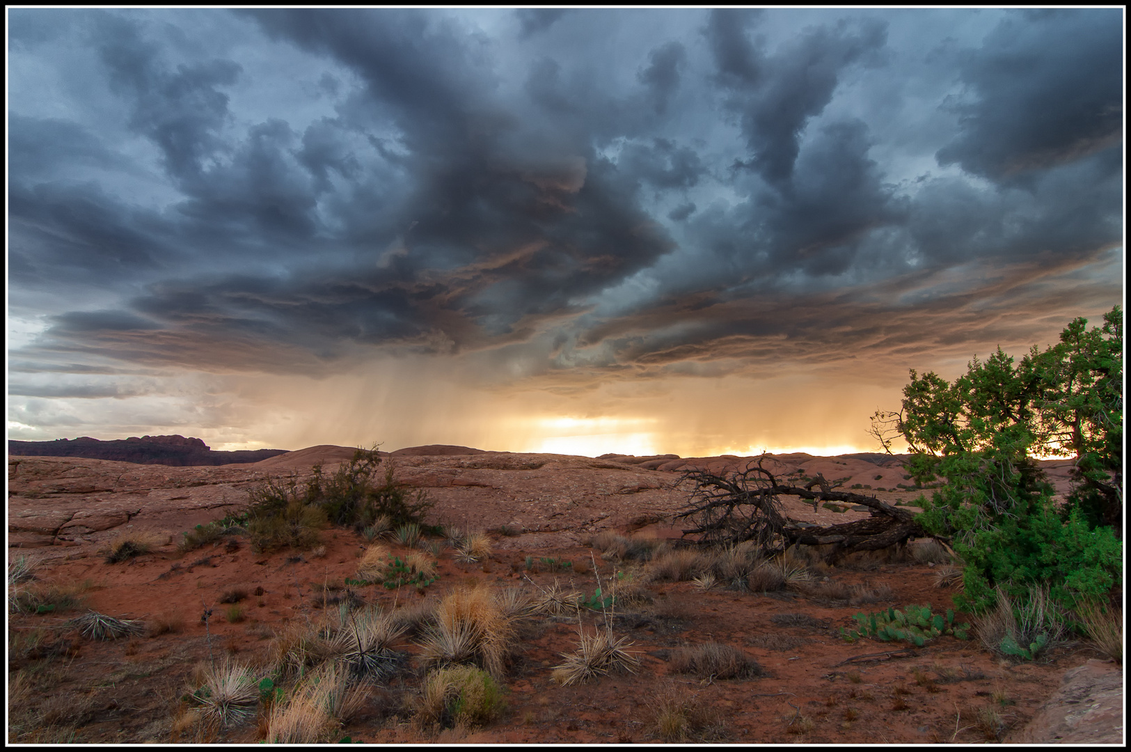 Approaching Storm