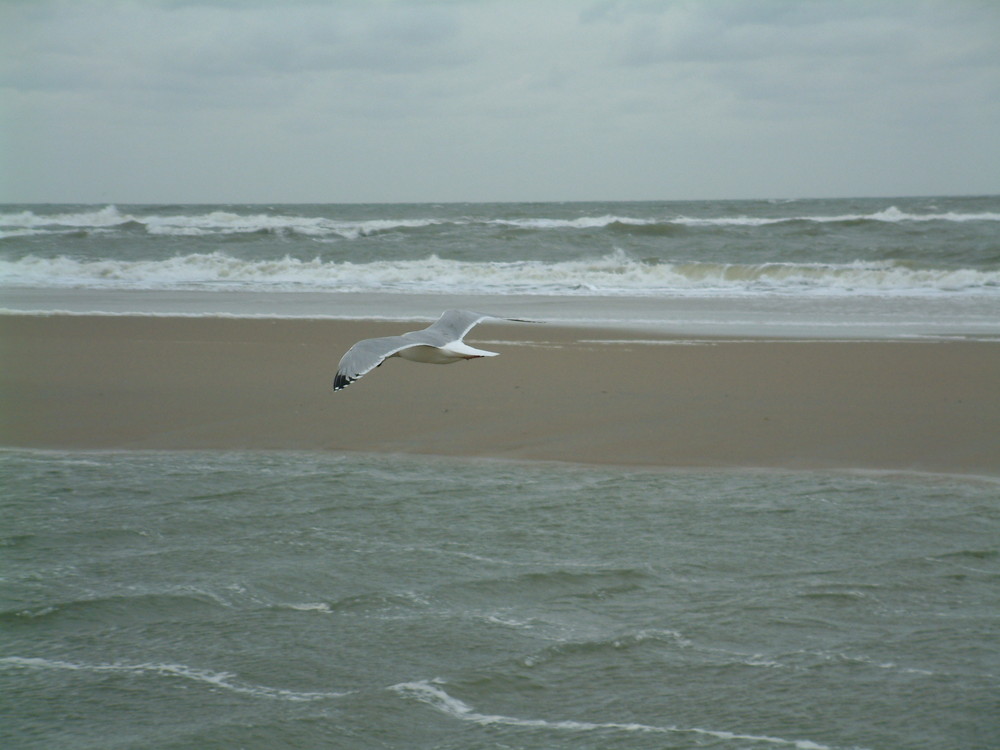 Approaching the runway