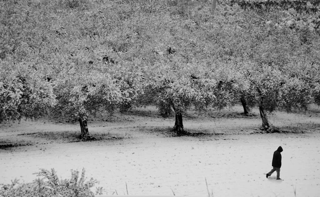 Appunti di dicembre ***