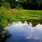 Aprather Teich im neuen Licht