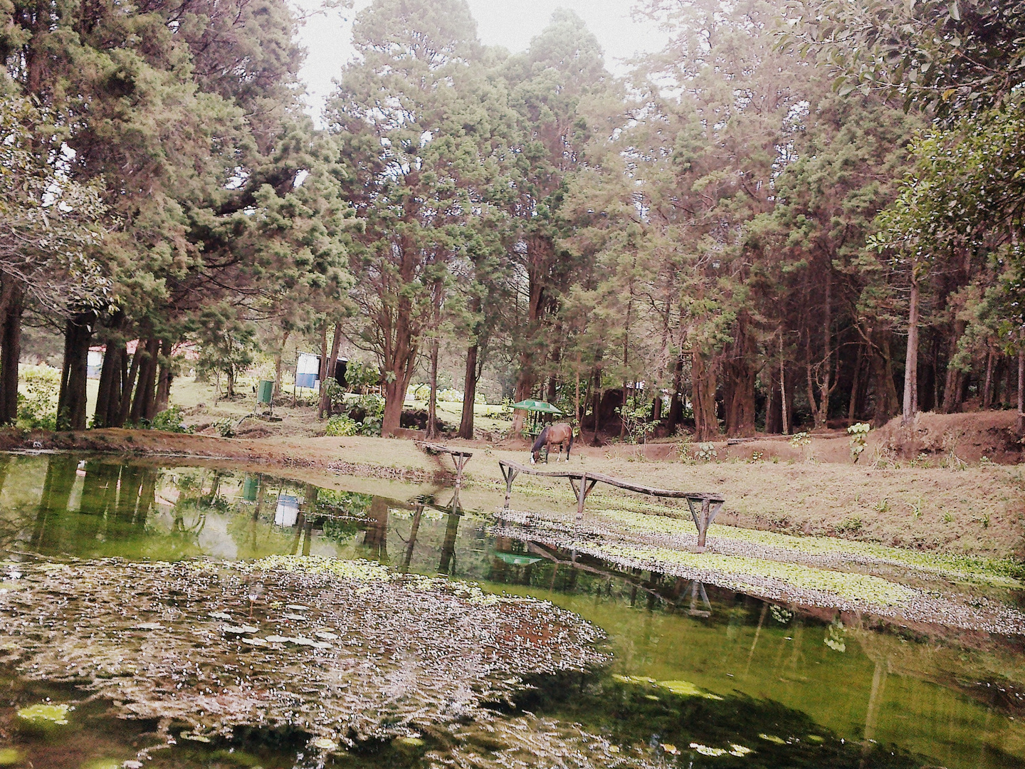 Aprender a valorar nuestra naturaleza