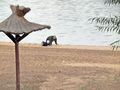 APRENDIENDO A GATEAR CON PAPÁ de Aldana 