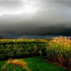 apres l' orage