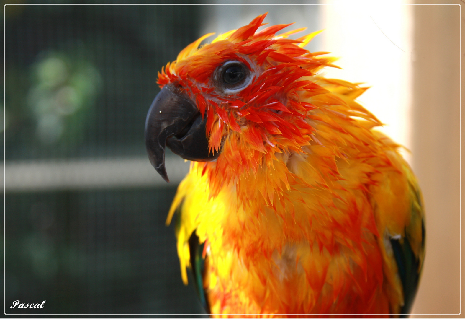 Après la douche