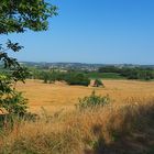 Après la moisson