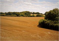 après la moisson