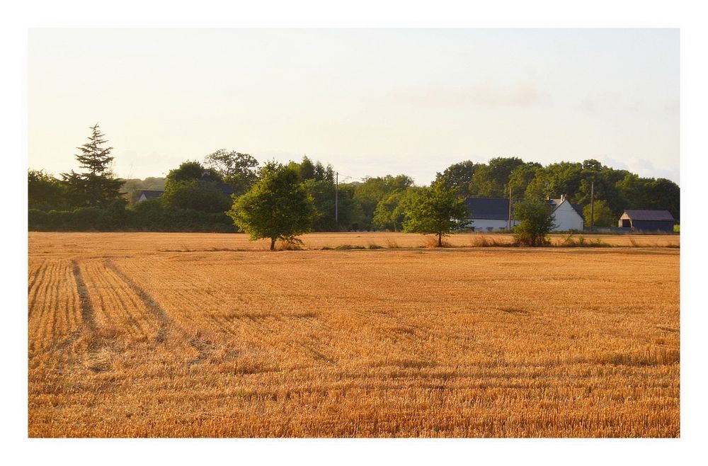 après la moisson