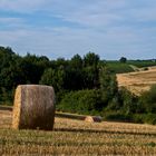 Après la moisson   --   Nach der Kornernte