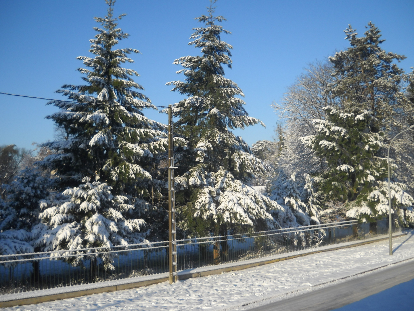 Après la neige, le soleil