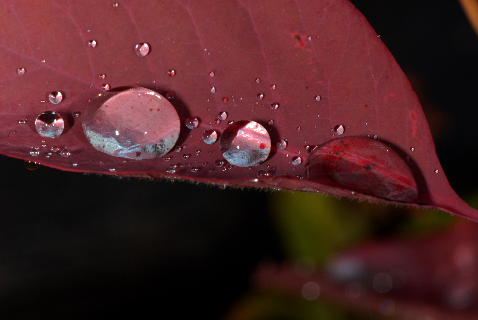 après la pluie 02