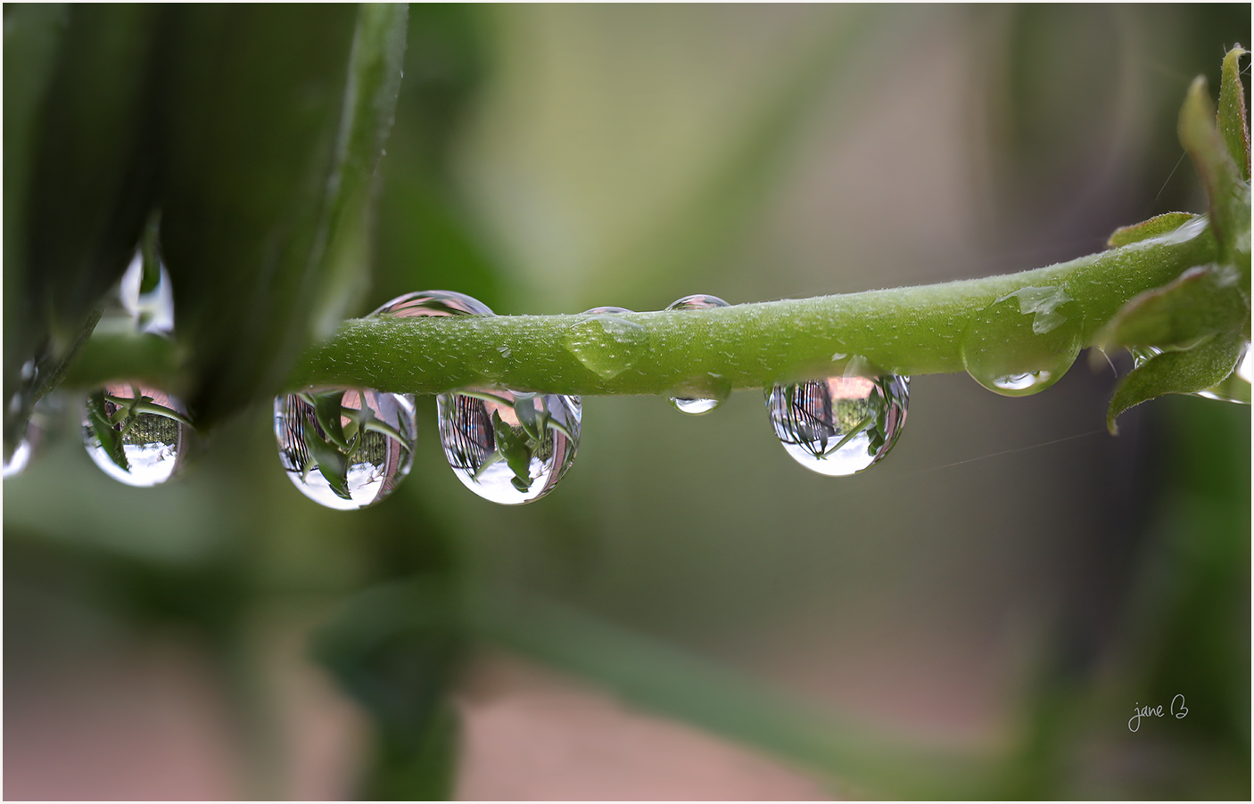 après la pluie