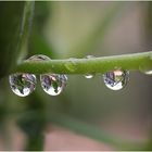 après la pluie